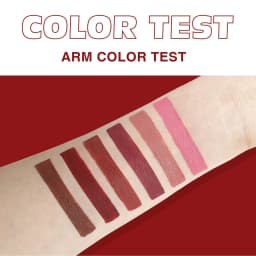 6 Colors Matte Waterproof Velvet Nude Lipstick Sexy Red Brown Pigments Long Lasting Profissional Makeup Cosmetics