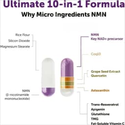 NMN Capsules 1000mg Per Serving with Resveratrol CoQ10 Vitamin C Vegan Formula Daily Wellness Supplement Clean Ingredients 120Ct