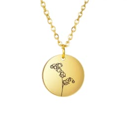 Skyrim Birth Flower Pendant Necklace Women Stainless Steel Flora Gladiolus Poppy Peony Rose Daisy Necklace Personalized Jewelry