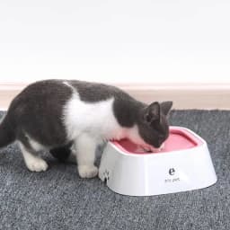 Pet Water Bowl Anti Spill Automatic Dog Bowl Vehicle Carried Floating Bowl Slow Wate