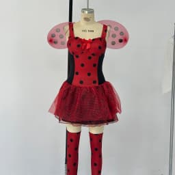 Women Halloween Ladybug Cosplay Costume Beetle Wings Bee Fairy Role Play Costume Dress Headband Leg Warmer 4pcs Outfits