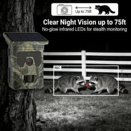 50MP 4K Solar Panel Hunting Camera Infrared Night Vision Monitoring Wildlife Trap Trail Camera Video Photo Recorder Cam