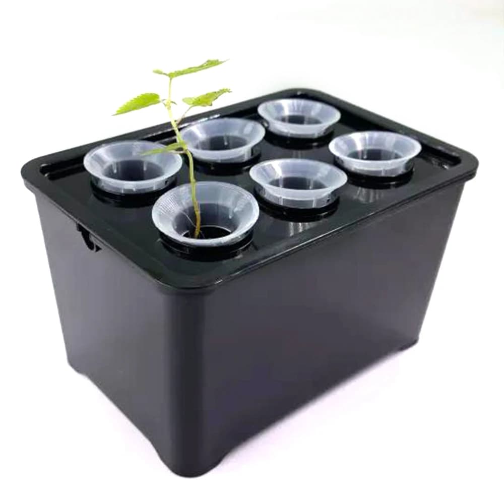 White/Black Hydroponic Grow System Hydroponic Box 6-Hole Nursery Pot for Garden Indoor Plants Vegetable Soilless Culture Planter