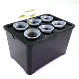 White/Black Hydroponic Grow System Hydroponic Box 6-Hole Nursery Pot for Garden Indoor Plants Vegetable Soilless Culture Planter