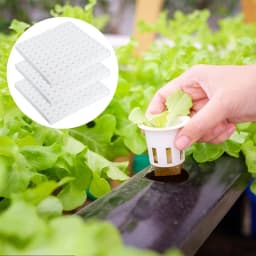 500Pcs Plants Seedling Hydroponic Sponge Squares Household Greenhouse Vegetable Seed Nursery Garden Sponge Soilless Dirt Tool