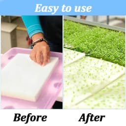 500Pcs Plants Seedling Hydroponic Sponge Squares Household Greenhouse Vegetable Seed Nursery Garden Sponge Soilless Dirt Tool