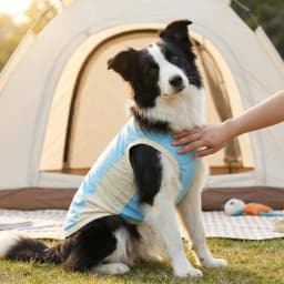 Dog Summer Cooling Vest Sun Protection Ice Silk Pet Clothes Breathable Quick Dry Puppy Cat Clothes For Small Medium Large Dogs
