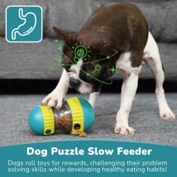 Dog Toy Improve IQ Interactive Puppy Toys For Small Medium Dogs Cat Slow Feeder Ball Labrador Golden Retriever Pet Supplies