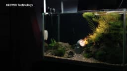 Solar Underwater Submersible Pond Light,Amphibious Solar Spotlight IP68 Outdoor Landscape Lamp Auto ON/Off for Garden