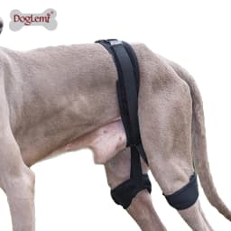 Pets Dogs High Quality Hind Leg Guard Recovery Orthodontic Band for Pet Dog Protective Hip Joint Correction Restore Pet Supplies