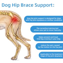 Pets Dogs High Quality Hind Leg Guard Recovery Orthodontic Band for Pet Dog Protective Hip Joint Correction Restore Pet Supplies