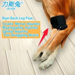 Dog Knuckling Corrector Toe Dragging Brace for Rear Back Leg Paw with Sciatic Nerve Injuries. Myelopathy and Spinal Injuries
