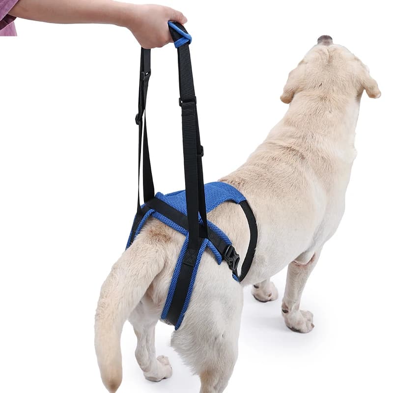 New Upgraded Dog Rear Leg Support Harness Adjustable Pet Lift Sling for Injured Disabled Elderly Dogs Walking Assistance Supply