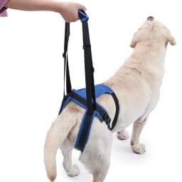 New Upgraded Dog Rear Leg Support Harness Adjustable Pet Lift Sling for Injured Disabled Elderly Dogs Walking Assistance Supply