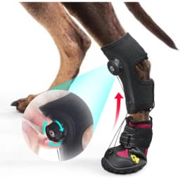 Drop Foot Brace with Reel for Dog - Corrective Dog Shoe to Safely Lift Toes for Paws Issues,Reliable Paw Protector For Dogs