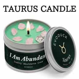 12 Zodiac Candles Set Astrology Scented Soy Candles with Healing Crystal Gemstones 3oz Tin Affirmation Meditation Gift for Women