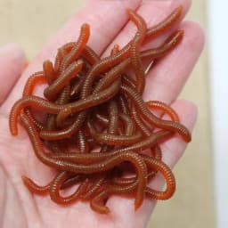 BURLE Lifelike Fishy Smell Red Soft Lures Simulation Earthworm Red Worms Artificial Fishing Lures