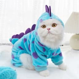 Cute Dinosaur Bee Pet Costume 4 Legs Jumpsuit for Small Dogs Cats, Soft Plush Warm Cosplay Outfit Winter Clothes