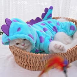 Cute Dinosaur Bee Pet Costume 4 Legs Jumpsuit for Small Dogs Cats, Soft Plush Warm Cosplay Outfit Winter Clothes