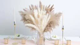 70pcs Natural Dried Flowers Green Fresh Eucalyptus Leave Bouquet Boho Chic Home Table Vase Decor Real Pampas Bunch Centerpieces