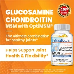 Joint Health, Hair, Skin and Nails - Glucosamine Chondroitin MSM and OptiMSM
