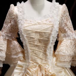 Customized Victorian Marie Court Evening Dresses Baroque Historical Renaissance Theater Masquerade Party Gowns