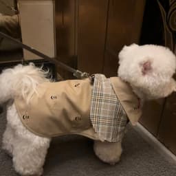 Pet Clothing Vintage Detective Cape English Tie Plaid Cape Small Dog Pet Outerwear Brown Dog Cape Puppy Clothes
