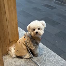 Pet Clothing Vintage Detective Cape English Tie Plaid Cape Small Dog Pet Outerwear Brown Dog Cape Puppy Clothes