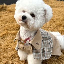 Pet Clothing Vintage Detective Cape English Tie Plaid Cape Small Dog Pet Outerwear Brown Dog Cape Puppy Clothes