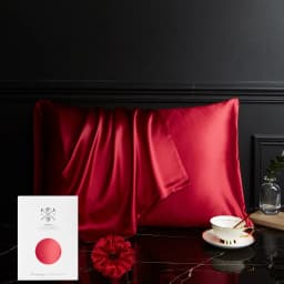 DISANGNI 100% Pure Mulberry Silk Pillowcase for Hair and Skin, Natural Silk Front with Soft Breathable Back, Luxury Pillow Cover