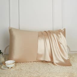 DISANGNI 100% Pure Mulberry Silk Pillowcase for Hair and Skin, Natural Silk Front with Soft Breathable Back, Luxury Pillow Cover
