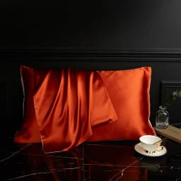 DISANGNI 100% Pure Mulberry Silk Pillowcase for Hair and Skin, Natural Silk Front with Soft Breathable Back, Luxury Pillow Cover