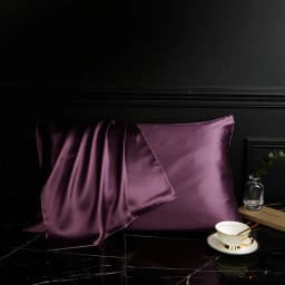 DISANGNI 100% Pure Mulberry Silk Pillowcase for Hair and Skin, Natural Silk Front with Soft Breathable Back, Luxury Pillow Cover