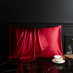 DISANGNI 100% Pure Mulberry Silk Pillowcase for Hair and Skin, Natural Silk Front with Soft Breathable Back, Luxury Pillow Cover