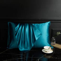 DISANGNI 100% Pure Mulberry Silk Pillowcase for Hair and Skin, Natural Silk Front with Soft Breathable Back, Luxury Pillow Cover