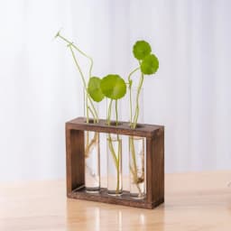 Wall Hanging Hydroponic Plant Propagation Glass Vase Transparent Tubes Vase  with Wooden Desktop Home Office Garde Decoration