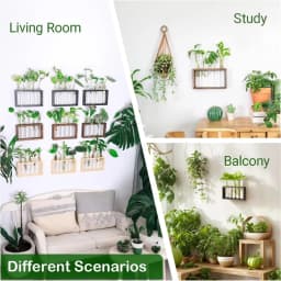 Wall Hanging Hydroponic Plant Propagation Glass Vase Transparent Tubes Vase  with Wooden Desktop Home Office Garde Decoration