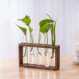 Wall Hanging Hydroponic Plant Propagation Glass Vase Transparent Tubes Vase  with Wooden Desktop Home Office Garde Decoration