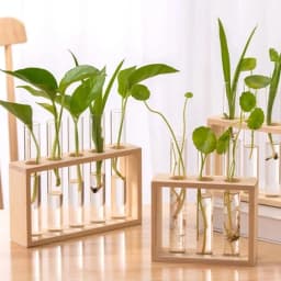 Wall Hanging Hydroponic Plant Propagation Glass Vase Transparent Tubes Vase  with Wooden Desktop Home Office Garde Decoration