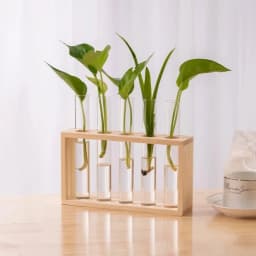 Wall Hanging Hydroponic Plant Propagation Glass Vase Transparent Tubes Vase  with Wooden Desktop Home Office Garde Decoration
