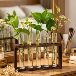 Wall Hanging Hydroponic Plant Propagation Glass Vase Transparent Tubes Vase  with Wooden Desktop Home Office Garde Decoration