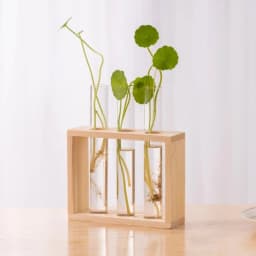 Wall Hanging Hydroponic Plant Propagation Glass Vase Transparent Tubes Vase  with Wooden Desktop Home Office Garde Decoration