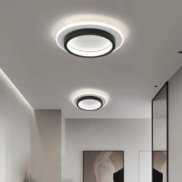 Modern Simple LED Decor Ceiling Light Nordic Luxury Indoor Ceiling Lamp Living Room Aisle Bedroom Creative Metal Ceiling Light