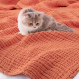 Muslin Throw Blanket Adults 100% Cotton Blankets Couch 6-Layer Summer Breathable Gauze All Season Soft Lightweight Pre-Washed
