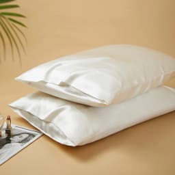 DISANGNI 22 Momme 100% Natural Mulberry Silk Pillowcases for Hair and Skin, Double-Sided Pure Silk with Envelope Closure, 2 Pack