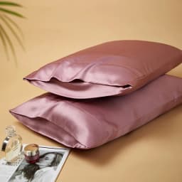 DISANGNI 22 Momme 100% Natural Mulberry Silk Pillowcases for Hair and Skin, Double-Sided Pure Silk with Envelope Closure, 2 Pack