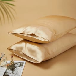 DISANGNI 22 Momme 100% Natural Mulberry Silk Pillowcases for Hair and Skin, Double-Sided Pure Silk with Envelope Closure, 2 Pack