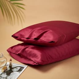 DISANGNI 22 Momme 100% Natural Mulberry Silk Pillowcases for Hair and Skin, Double-Sided Pure Silk with Envelope Closure, 2 Pack
