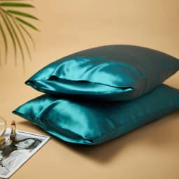 DISANGNI 22 Momme 100% Natural Mulberry Silk Pillowcases for Hair and Skin, Double-Sided Pure Silk with Envelope Closure, 2 Pack