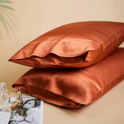 DISANGNI 22 Momme 100% Natural Mulberry Silk Pillowcases for Hair and Skin, Double-Sided Pure Silk with Envelope Closure, 2 Pack